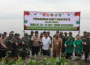 TMMD ke124 Kodim 0320 Dumai Pentingnya Penanaman Bibit Mangrove di Kawasan Pesisir Pantai