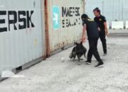 Bea Cukai Dumai Fokus Pemeriksaan Penumpang Kapal Feri Dumai