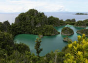 Kompak! ESDM hingga Bupati Berikan Izin Tambang Nikel di Raja Ampat