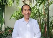 Obat yang Memicu Stevens-Johnson Syndrome, Penyakit yang Diduga Diidap Jokowi