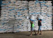 Pupuk Indonesia Siapkan 1,4 Juta Ton Pupuk Subsidi, Pastikan Musim Tanam Lancar