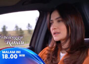 Ingatan Diandra Akan Masa Lalunya dengan Elang