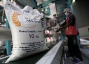 Stok Beras RI Capai 4 Juta Ton, Bulog Bicara Soal Kualitas